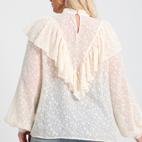 Plus Size Sheer Ruffled Blouse - Picture 3 of 3